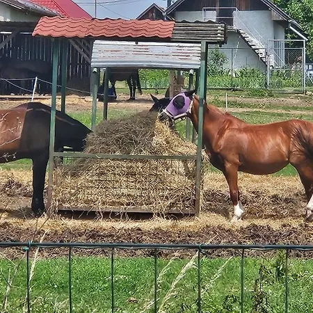 דירה Ferrata F1 הרבוצ'יסה